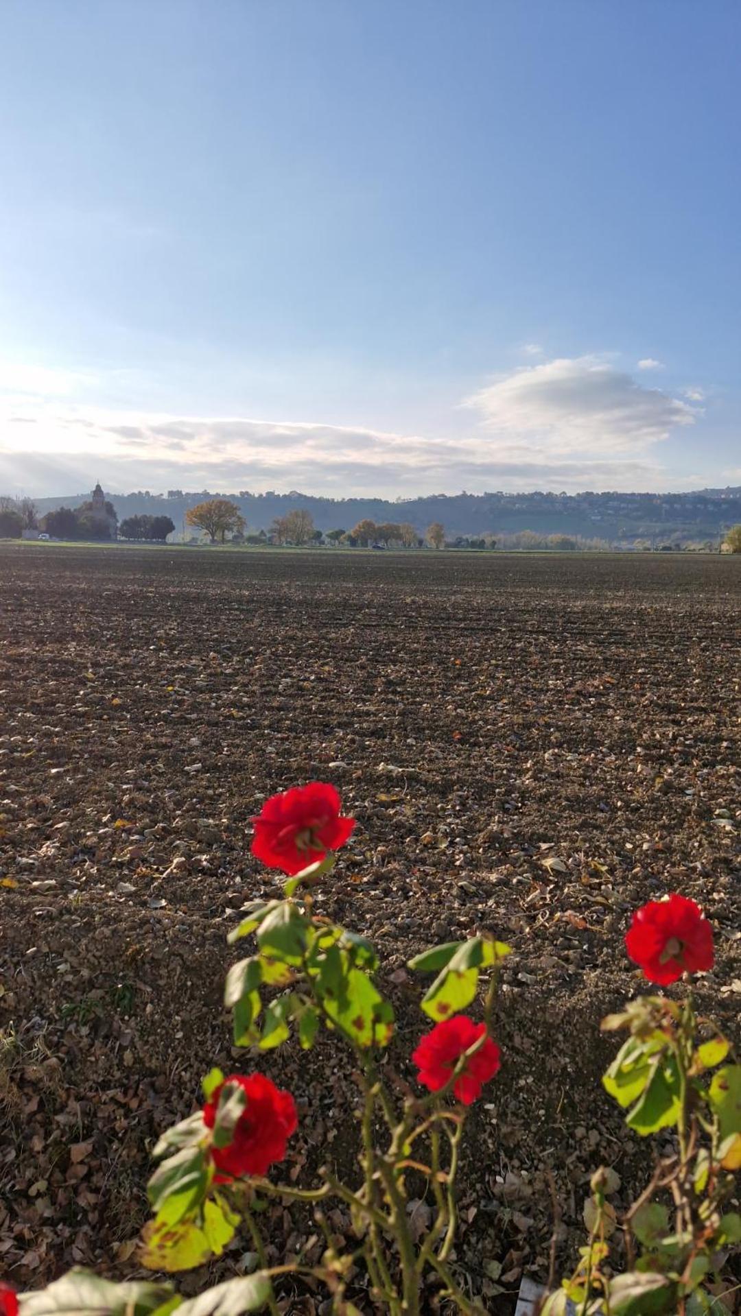 La Dolce Vita Castelfidardo Exteriér fotografie