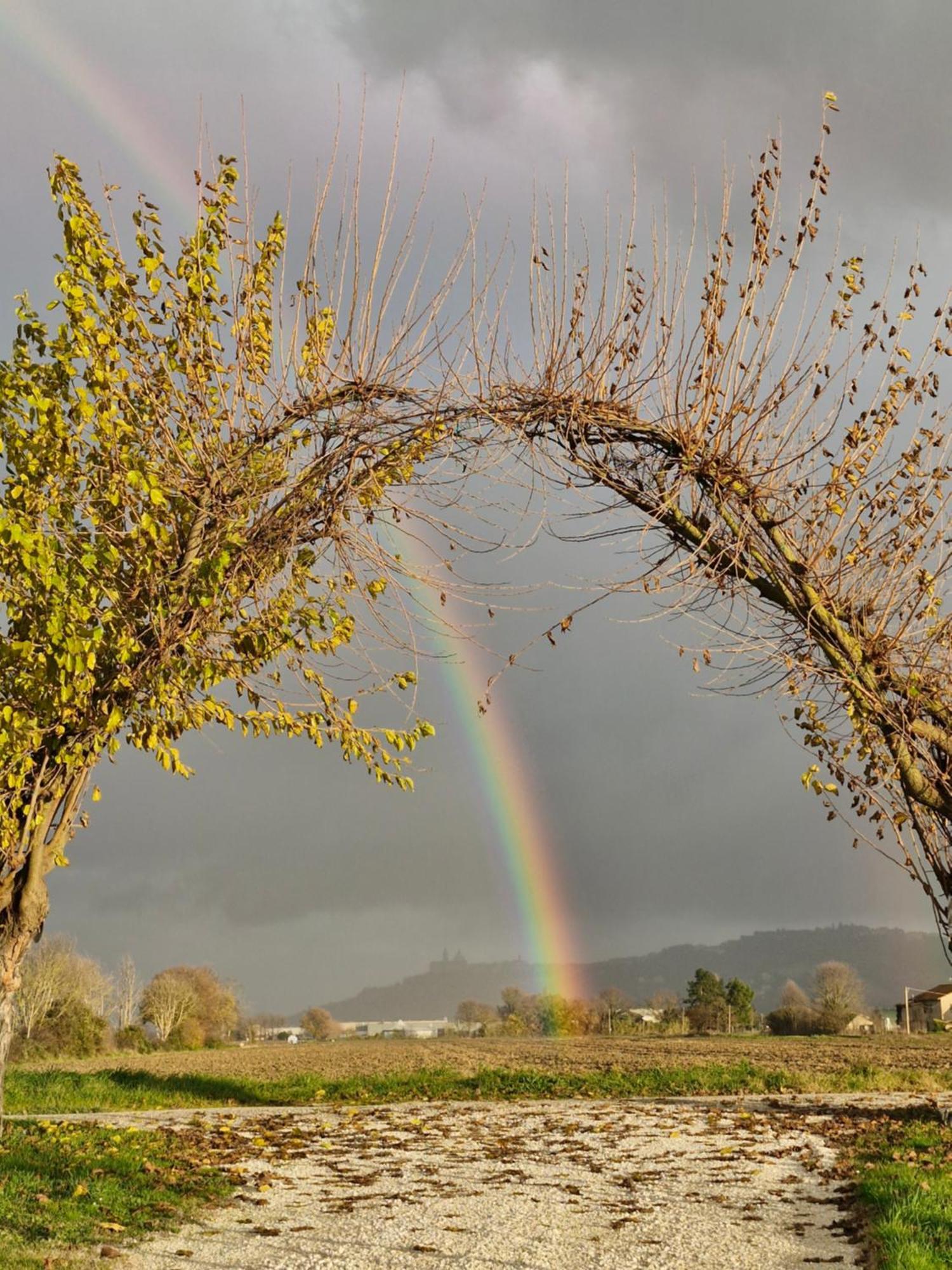 La Dolce Vita Castelfidardo Exteriér fotografie