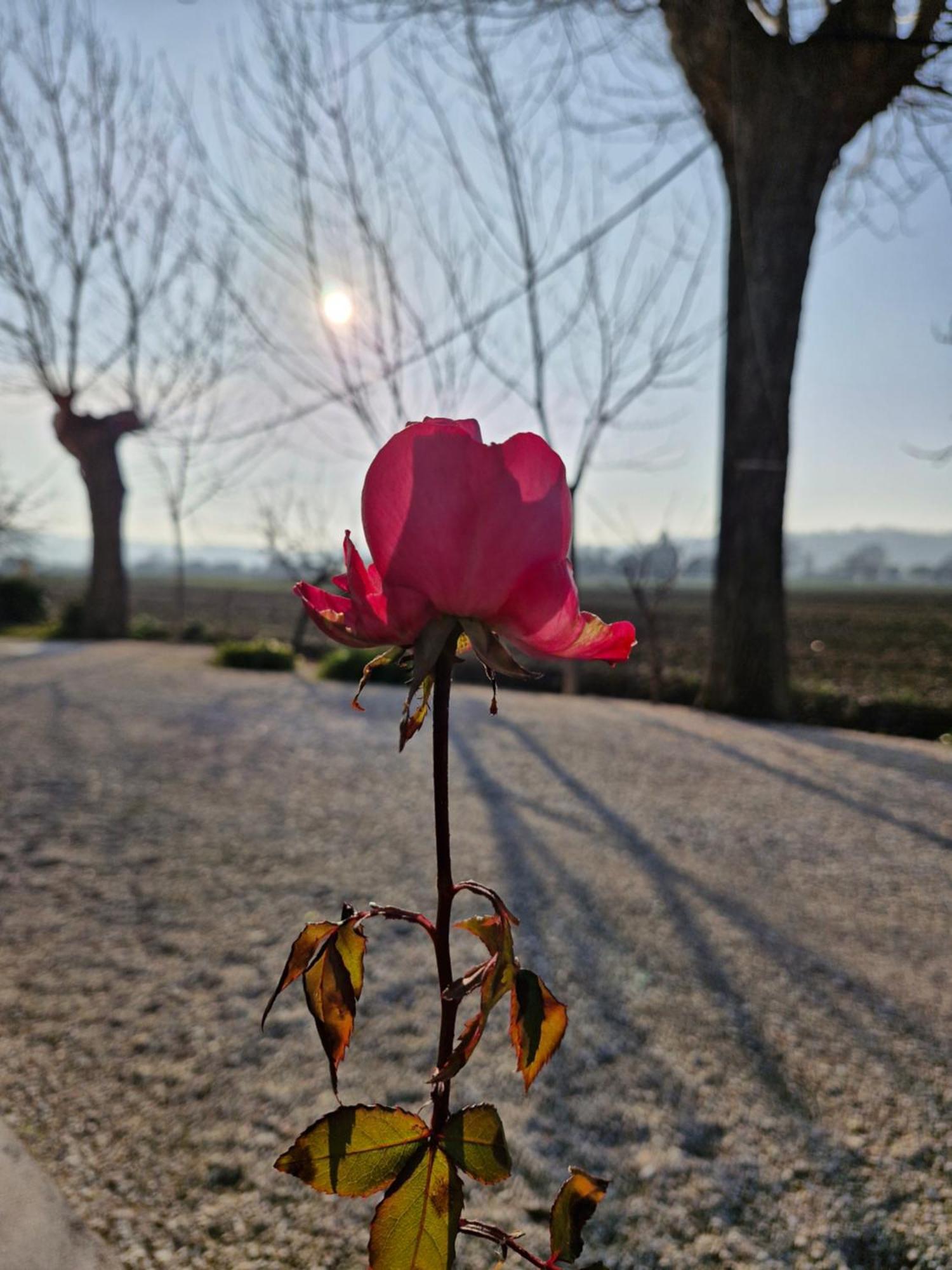 La Dolce Vita Castelfidardo Exteriér fotografie