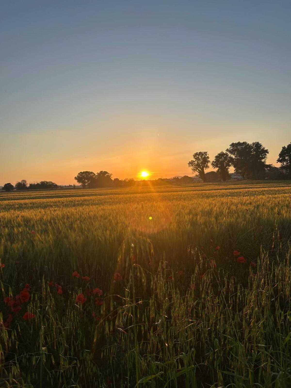 La Dolce Vita Castelfidardo Exteriér fotografie